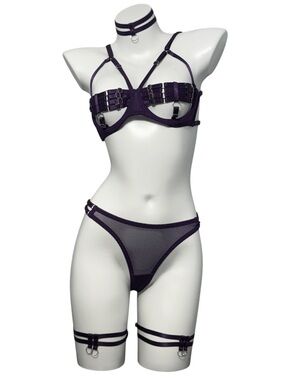 Purple Strappy Mesh Lingerie Set with Choker